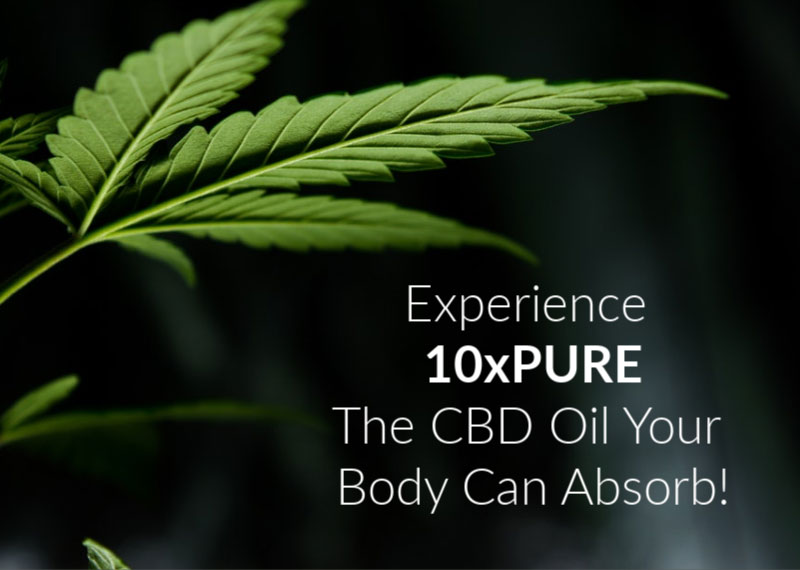 Experience 10xPURE
The CBD Oil Your Body Can Absorb!