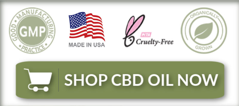 Shop CBD Oil Now